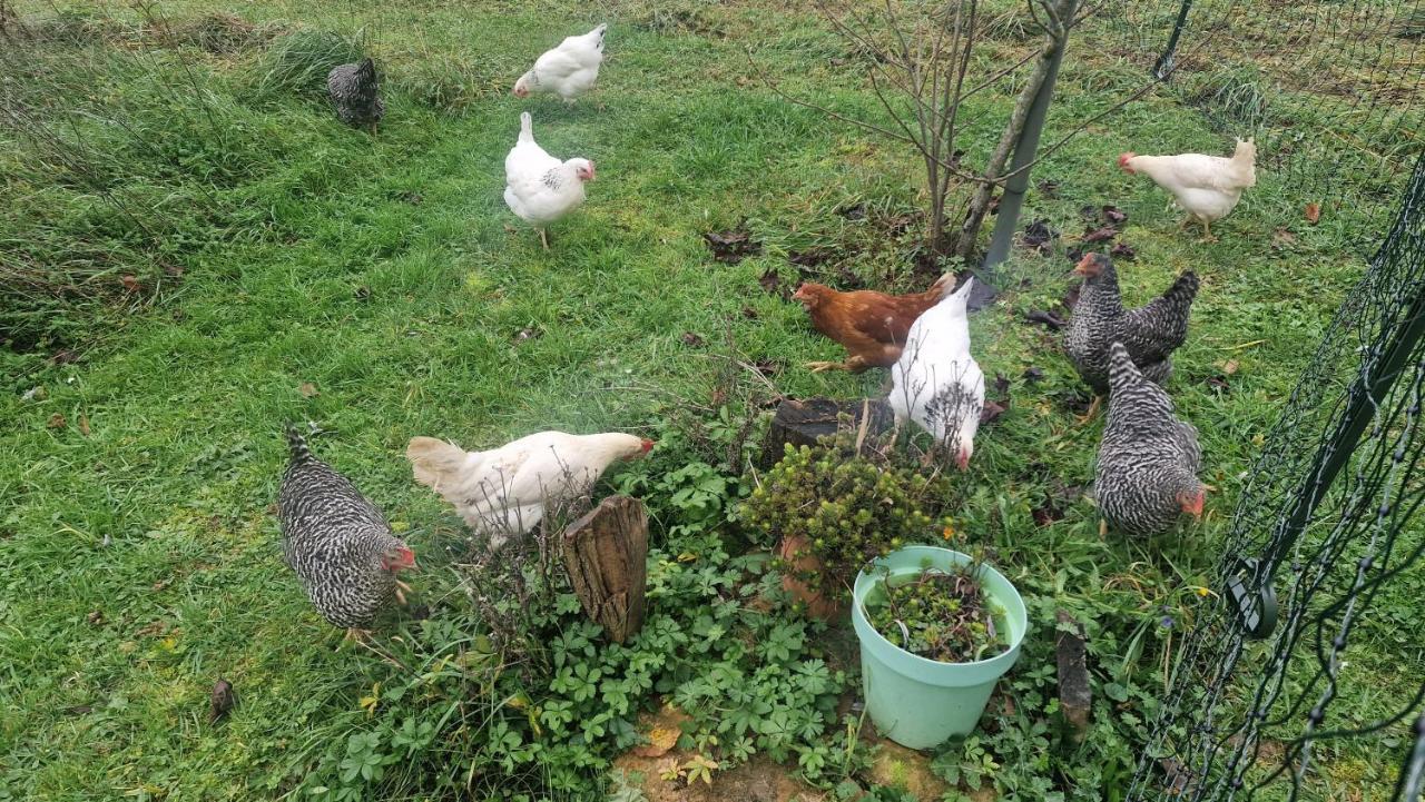 Domaine Le Puits Du Moulin 3*